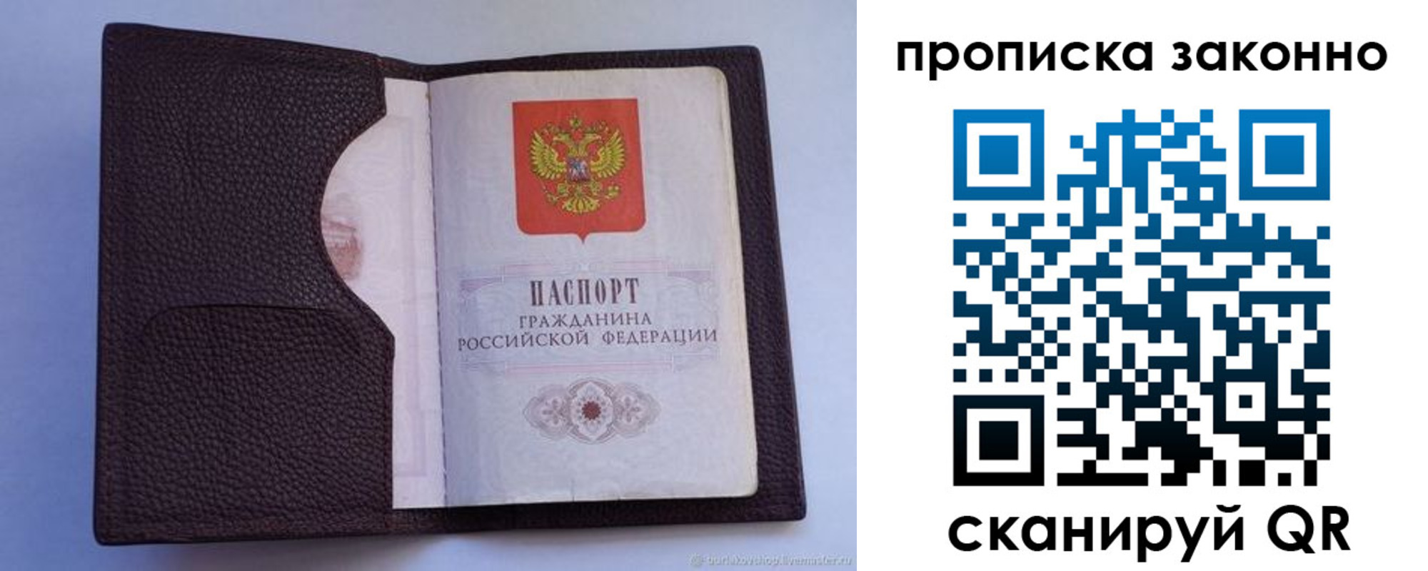 регистрация в Светлогорске