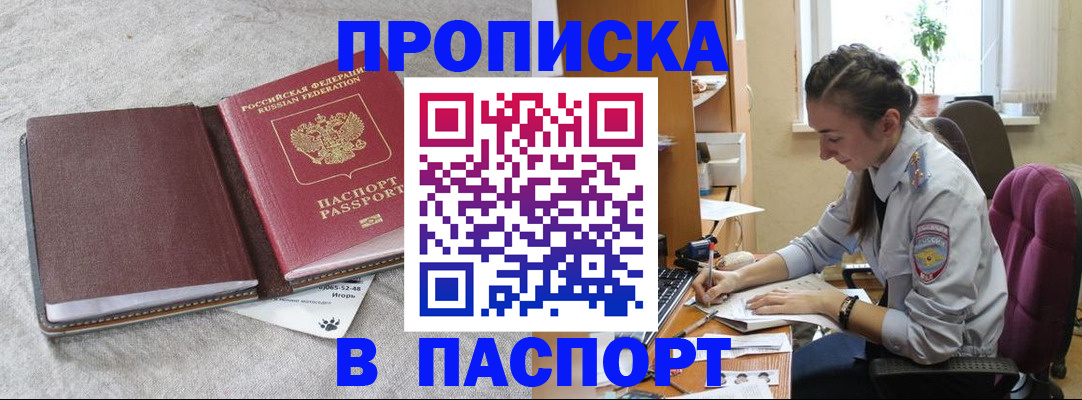 где прописаться в Светлогорске